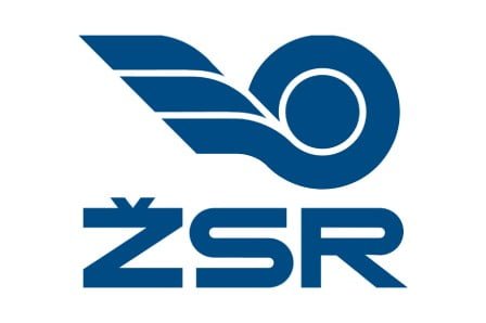 logo-zsr-domo-protection